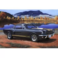 Revell 1/24 Shelby Mustang GT-350H Car Model Kit