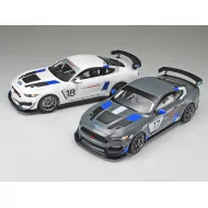 Tamiya 1/24 Ford Mustang GT4 Car Model Kit